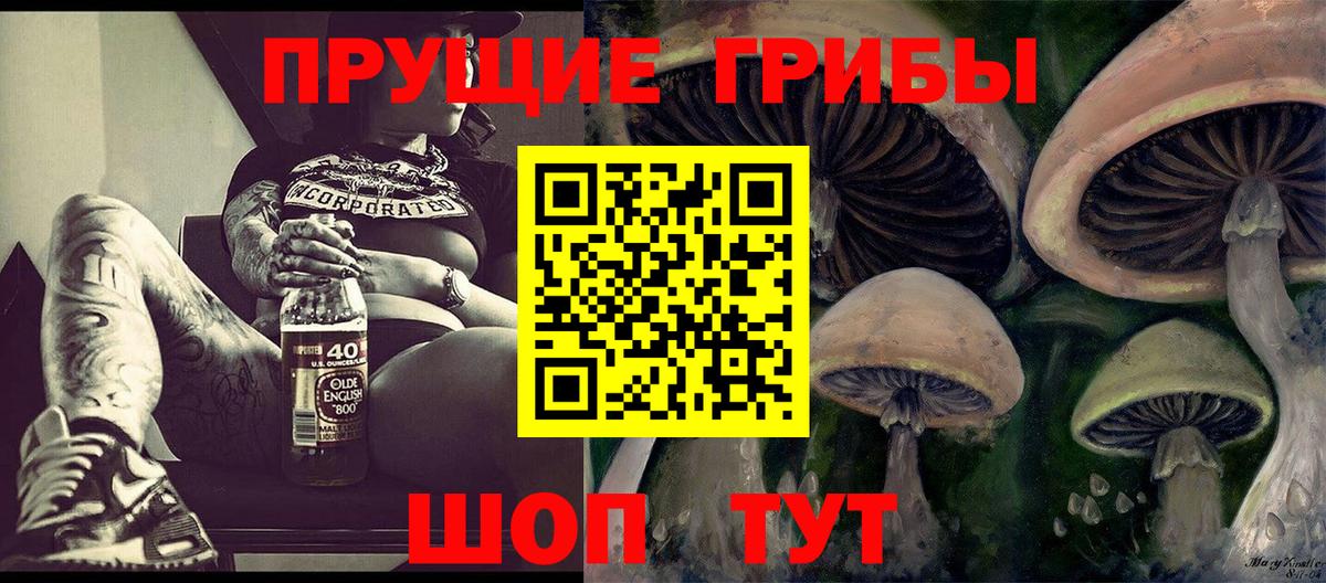 Галлюциногенные грибы Psilocybe  Вход с VPN  Ульяновск 